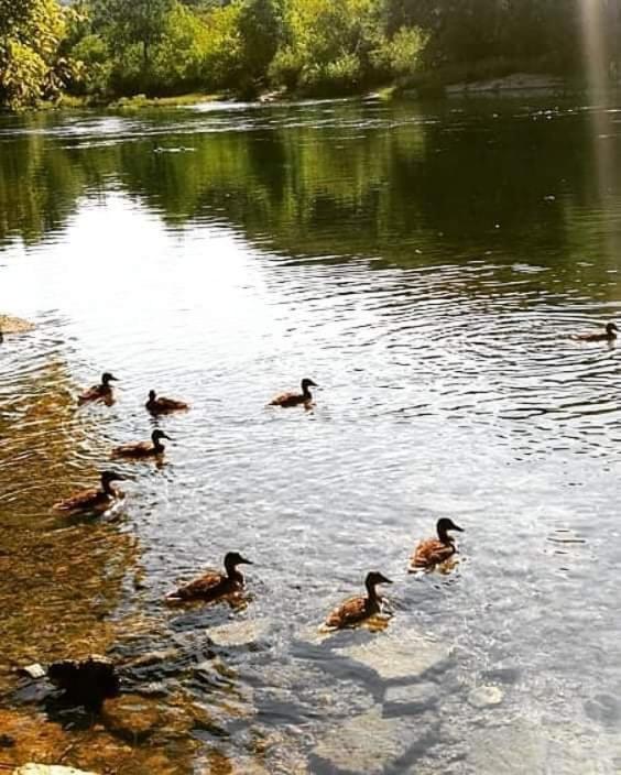 Flora&Fauna Bihać 외부 사진